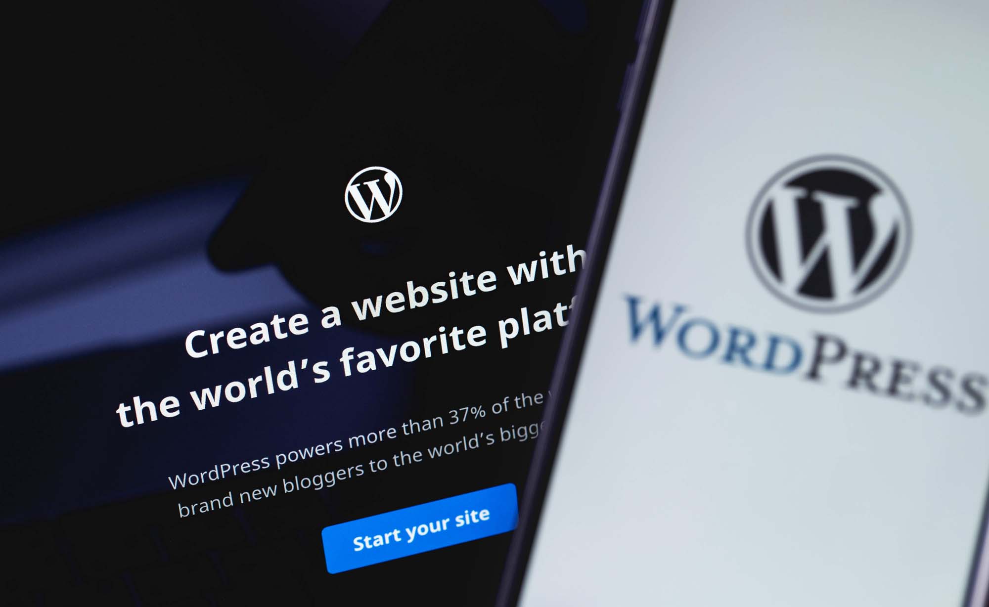 WordPress websites